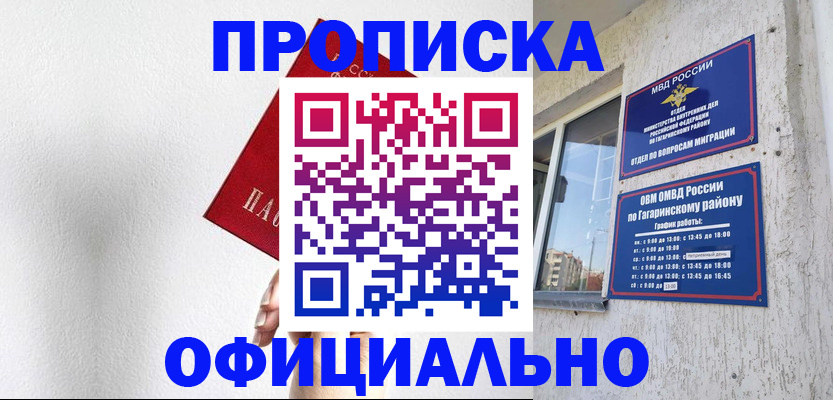 найти адрес прописки в Мончегорске